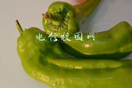 电信校园网