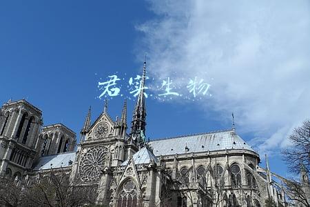 君实生物