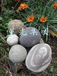星光集团