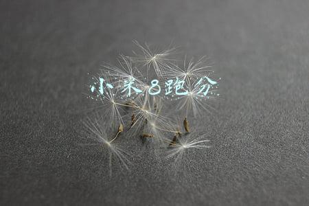 小米8跑分