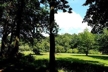 小米8跑分
