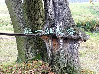 跳一跳攻略作弊(微信跳一跳辅助修改分数方法曝光 跳一跳怎么快速加分？)