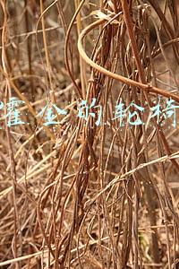 霍金的轮椅