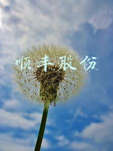 顺丰股份