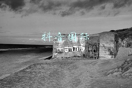 抖音国际