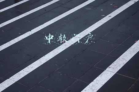 中软门户