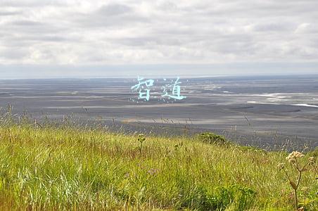 智道