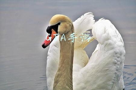 GTA手游