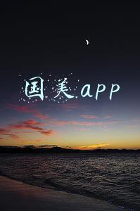 国美app