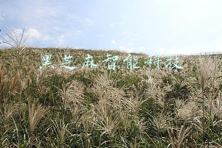 黑芝麻智能科技