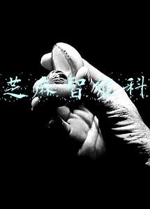 黑芝麻智能科技