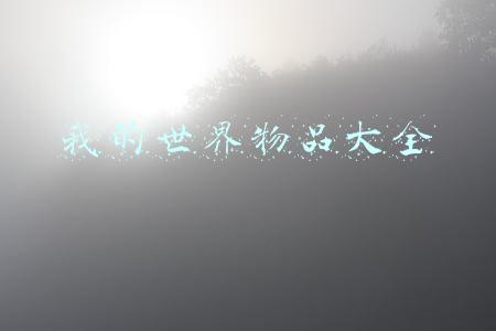 我的世界物品大全
