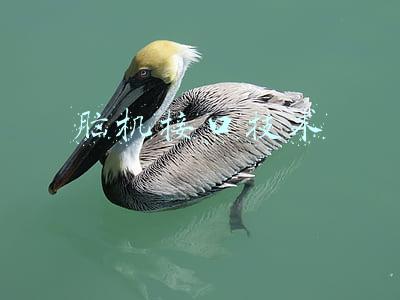 脑机接口技术