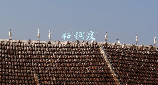 粘稠度