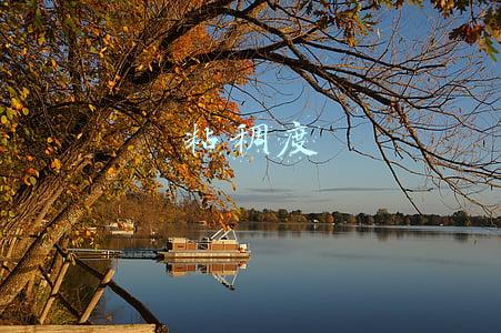 粘稠度