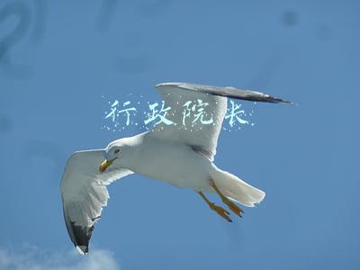 行政院长