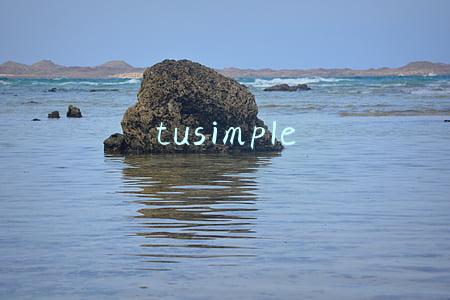 tusimple