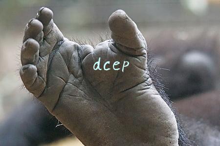 dcep