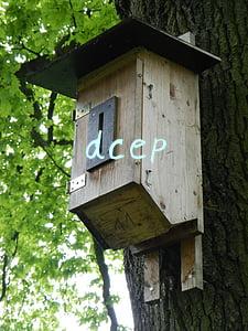dcep