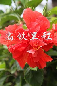 高铁里程