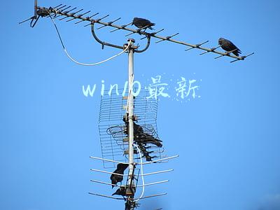 win10最新