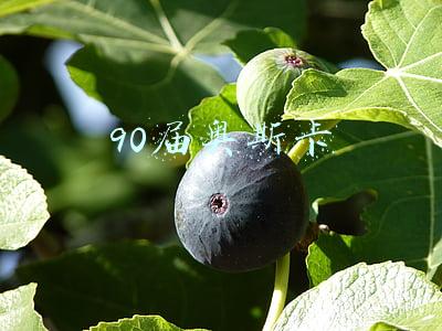 90届奥斯卡