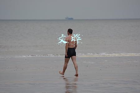 文晔
