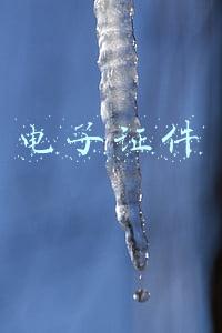 电子证件