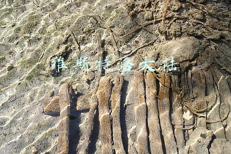 维斯特洛大陆 维斯特洛大陆