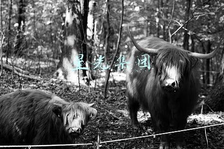 星光集团有限公司(星光集团(00403.HK)盈喜：中期预盈4.45亿至4.65亿港元)