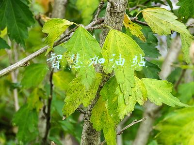 智慧加油站