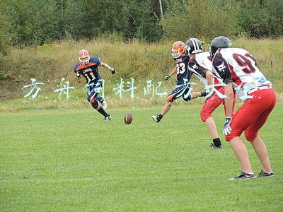 方舟饲料配方大全