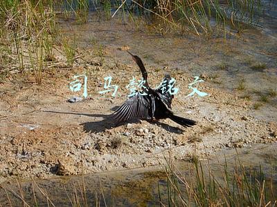司马懿铭文