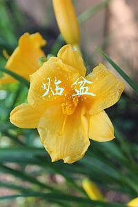 临盆