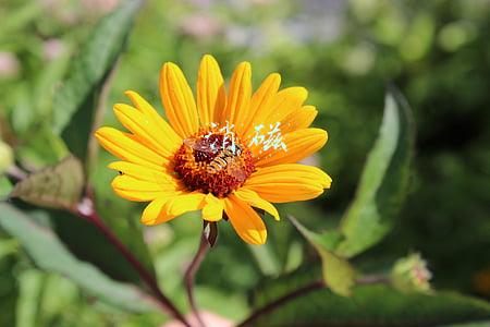 消磁石(舒俱来（苏纪石）怎么保养和消磁)