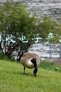 电子废品回收价格表(废金属价格2022年4月28日废铝废锡废铅废电瓶回收价格调整信息)