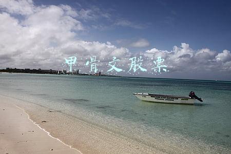 甲骨文股票代码(财报前瞻 | 甲骨文(ORCL.US)股价被低估 收购塞纳(CERN.US)交易或成财报焦点)