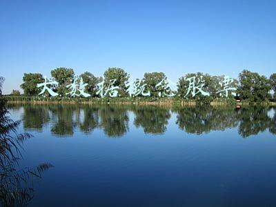 大数据概念股票