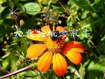 大数据概念股票 大数据概念股票