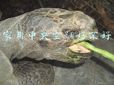 家用中央空调好不好