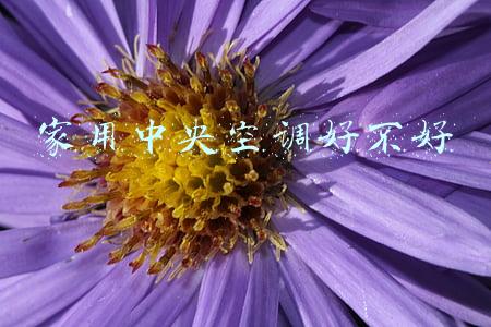 家用中央空调好不好 家用中央空调好不好