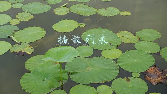 播放列表