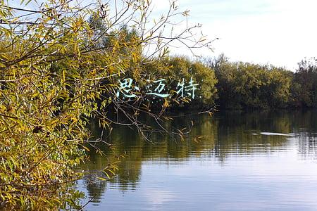 思迈特