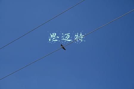 思迈特
