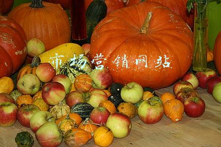 市场营销网站