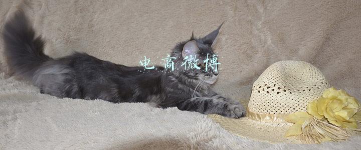 电商微博活动方案(某电商“双十一”促销方案（内部版）)