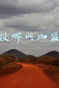 投哪网加盟