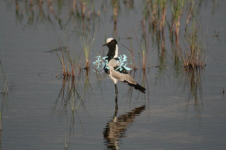 预装的office被卸载了怎么办(非正常安装的Office卸载)