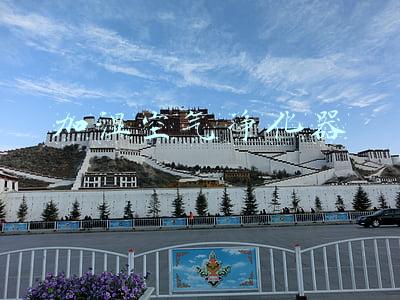 加湿空气净化器