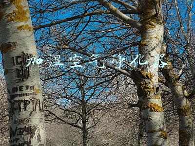 加湿空气净化器